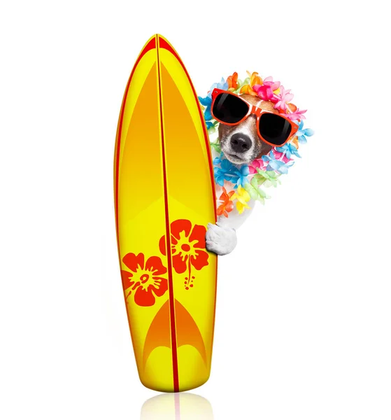 Zomer paradijs vakantie surfer hond — Stockfoto