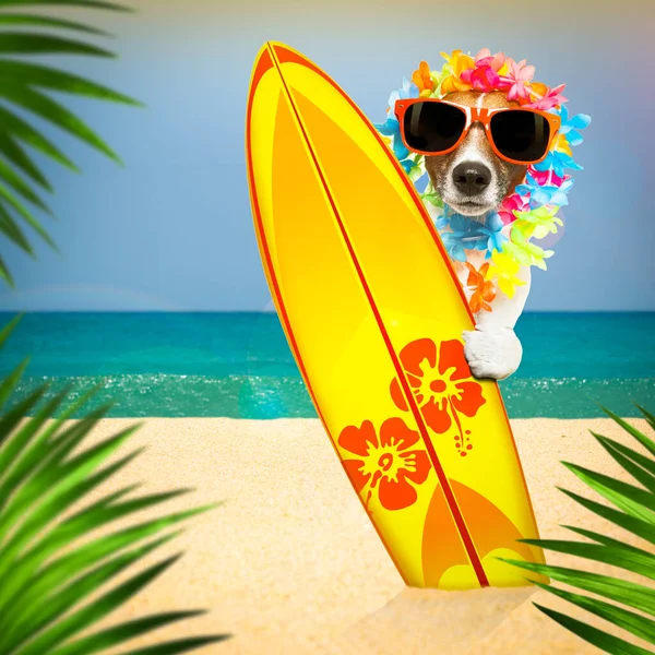 Zomer Paradijs Vakantie Surfer Jack Russell Hond Met Surfplank Zonnebril — Stockfoto