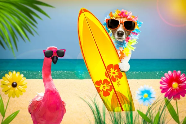 夏天的天堂假期冲浪手杰克 罗斯塞尔带着冲浪板和太阳镜的狗 此外还有一只粉色火烈鸟 背景是白色的 还有海滩上的棕榈 — 图库照片