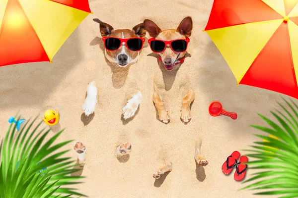 Pareja Dos Perros Enterrados Arena Playa Vacaciones Verano Divirtiéndose Disfrutando — Foto de Stock