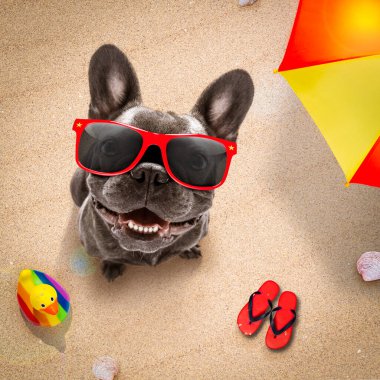 Köpek havlunun üzerine uzanmış şemsiyenin gölgesinde dinleniyor ve yaz tatilinde dinleniyor.