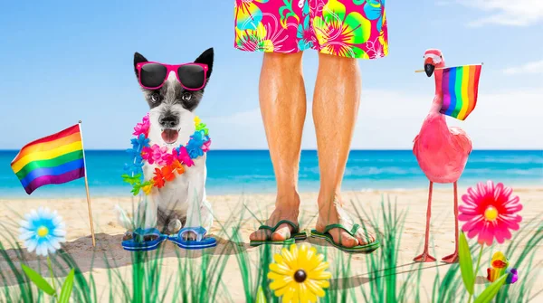 夏休みの海の近くのビーチで一緒に座っている犬と所有者虹のLgbtゲイの旗を振って — ストック写真