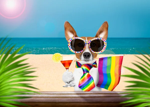 Jack Russell Hund Strand Des Ozeans Den Sommerferien Mit Cooler — Stockfoto