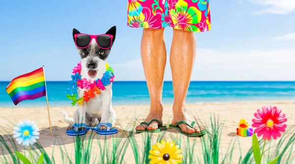 Hund Und Herrchen Sitzen Sommerurlaub Dicht Dicht Strand Nahe Der — Stockfoto