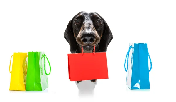 Dachshund Sausage Dog Shopping Bags Ready Discount Sale Mall Isolated — Stock Photo, Image