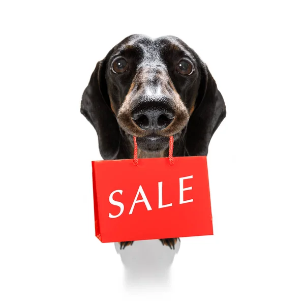 Dachshund Sausage Dog Shopping Bags Ready Discount Sale Mall Isolated — Stock Photo, Image