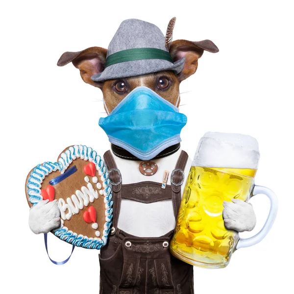 ビアマグとジンジャーブレッドハートのオクトーバーフェスト犬 ミュンヘンでのお祝い祭を中止し フェイスマスクを着用 — ストック写真