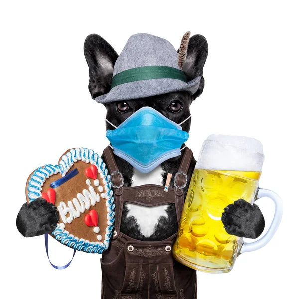 带有啤酒瓶和姜饼心的德国面包狗 取消了在密西西比举行的庆祝活动 并戴上了面具 — 图库照片