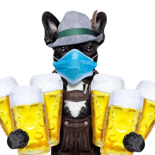 法国斗牛犬牵着两只白色背景的啤酒瓶 取消了在法国举行的庆祝活动 并戴上了面具 — 图库照片