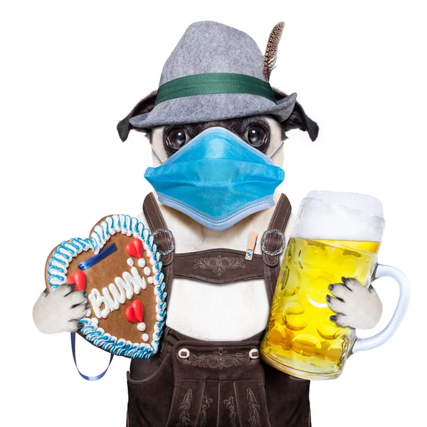 Bayerischer Mops Mit Lebkuchen Und Bierkrug Isoliert Auf Weißem Hintergrund — Stockfoto