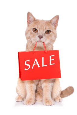 Alışveriş torbalı kedi indirime ve satışa hazır, beyaz arka planda izole.