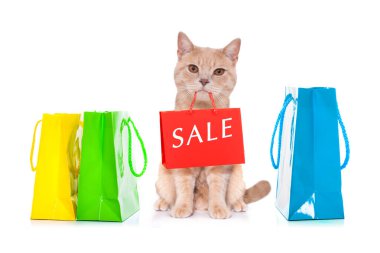 Alışveriş torbalı kedi indirime ve satışa hazır, beyaz arka planda izole.
