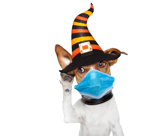 Halloween Devil Jack Russell Dog Scared Frightened Listening One Big — Stock Photo, Image