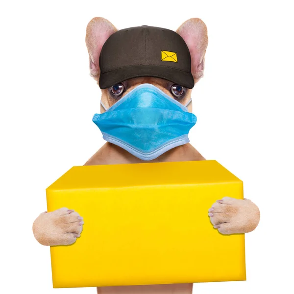 Carteiro Bulldog Francês Segurando Uma Caixa Transporte Amarelo Covid Cornavirus — Fotografia de Stock