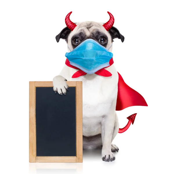 Halloween Diabo Pug Cão Escondido Atrás Branco Vazio Blackboard Cartaz — Fotografia de Stock