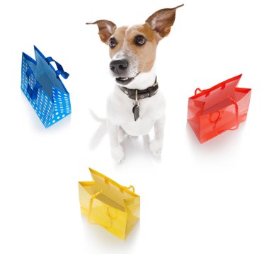 Jack Russell Terrier, alışveriş torbaları indirime hazır, beyaz arka planda izole edilmiş.