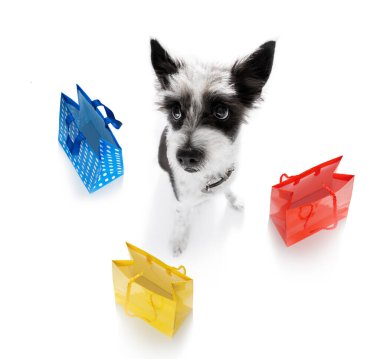 Alışveriş torbalarıyla kaniş köpeği indirime ve satışa hazır, beyaz arka planda izole edilmiş.