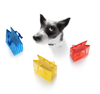 Alışveriş torbalarıyla kaniş köpeği indirime ve satışa hazır, beyaz arka planda izole edilmiş.