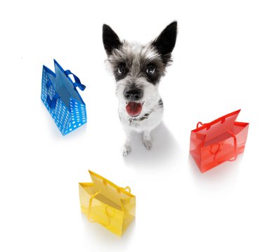 Alışveriş torbalarıyla kaniş köpeği indirime ve satışa hazır, beyaz arka planda izole edilmiş.