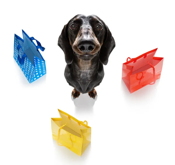 Sausage Dachshund Dog Shopping Bags Ready Discount Sale Mall Isolated — Stock Photo, Image