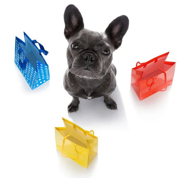 French Bulldog Dog Shopping Bags Ready Discount Sale Mall Isolated — Stock Photo, Image