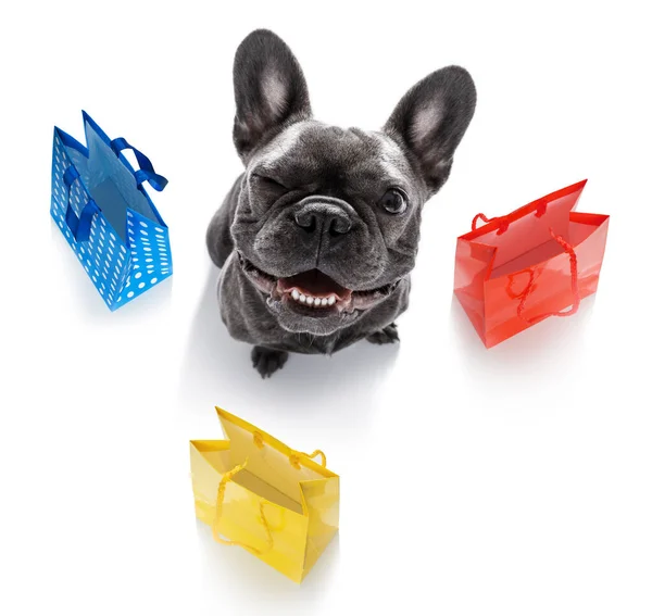 Bulldog Francés Con Bolsas Compras Listo Para Descuento Venta Centro — Foto de Stock