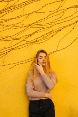 güzel uzun saçlı kız model sarı duvar arka planı, sokak stil poz
