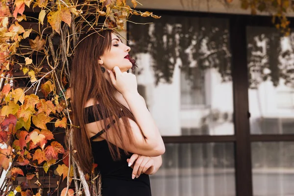 Attraktives langhaariges Mädchen in schwarzem Kleid posiert in ihrer Gartenmauer, ruht und entspannt — Stockfoto