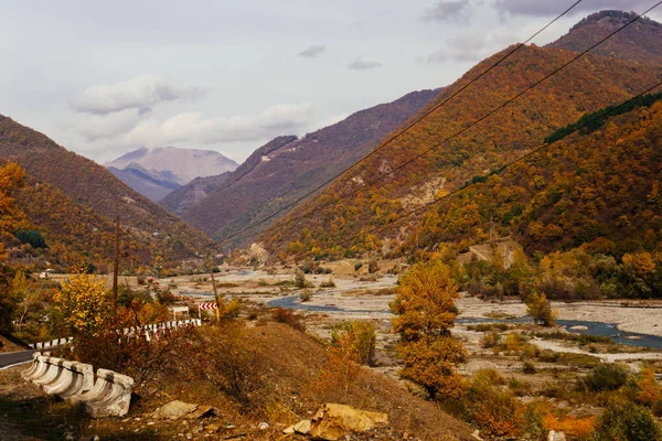 sihirli büyüleyici doğa, dağ yamaçları ve tepeler kaplı ağaçlar ve bitkiler, sonbahar manzara ile