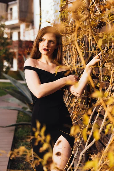 Приваблива сексуальна дівчина в чорній сукні з довгим волоссям позує в її саду в промені вечірнього сонця — стокове фото