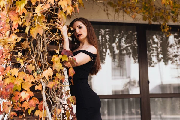 Attractive sexy girl in a black dress posing in her garden at the wall, enjoying a rich life — Stock Photo, Image