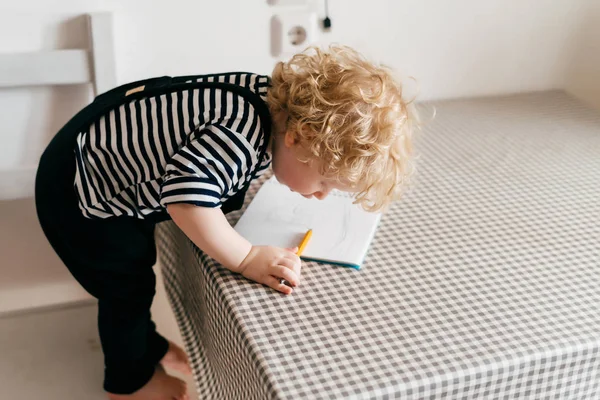 Malé kudrnaté chlapeček kreslí v poznámkovém bloku, studuje svět — Stock fotografie