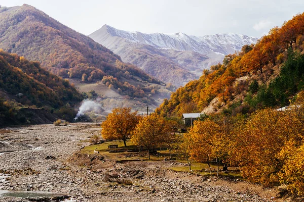 魅力的な自然と秋の風景、山の斜面し、植物や木々 で覆われた丘 — ストック写真