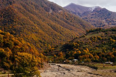 Sihirli doğa ve manzara, dağ tepeleri ve yamaçları kaplı yeşil ağaçlar ve bitkiler, temiz hava ile