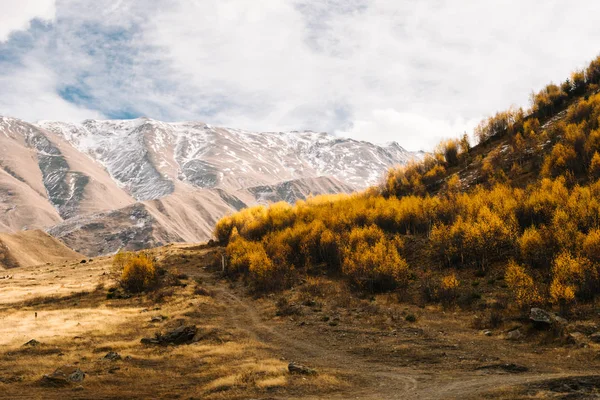 Magic enchanting nature, majestic mountains covered with snow, hills and trees, clean air — Stock Photo, Image