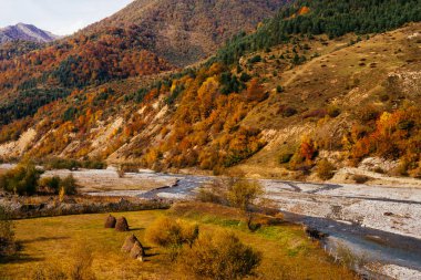sihirli harika doğa, dağ tepeleri ve yamaçları kaplı sarı bitkiler ve ağaçlar, sonbahar manzara ile