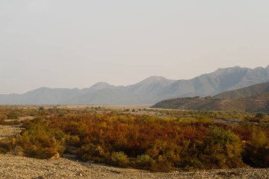 sihirli doğa, dağlar ve tepeler, yeşil çimen, sonbahar yatay