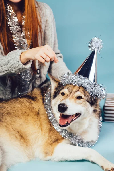 Fille aux cheveux roux s'assoit sur le sol avec son gros chien, atmosphère du Nouvel An — Photo