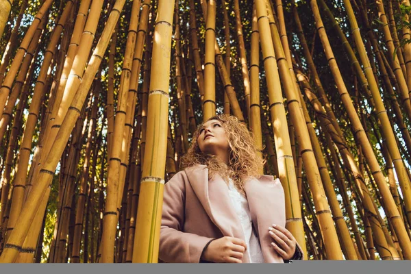 Curly young woman enjoying nature in the park posing near bamboo trees — Stock Photo, Image