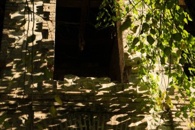 bir pencerede bir taş Antik Bina, güneş ışınlarının bir ormanda