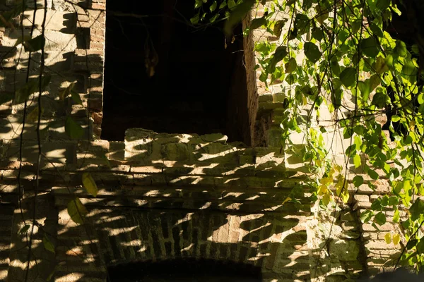 Tmavá okna v staré kamenné budovy, spousta zeleně a slunce — Stock fotografie