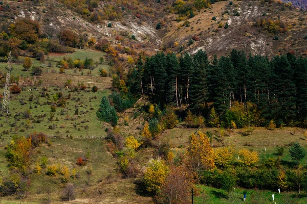 Волшебная природа и летний пейзаж, высокие зеленые деревья и горные холмы — стоковое фото