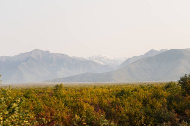 muhteşem büyüleyici doğa, sınırsız yeşil alanlar ve yüksek dağlar, yaz manzara