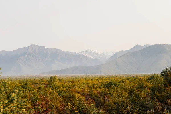 muhteşem büyüleyici doğa, sınırsız yeşil alanlar ve yüksek dağlar, yaz manzara