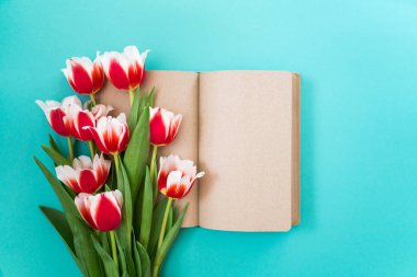 Bir demet taze lale canlı renkli mavi bir arka plan üzerinde yalan. Anneler günü ve Uluslararası Kadınlar günü