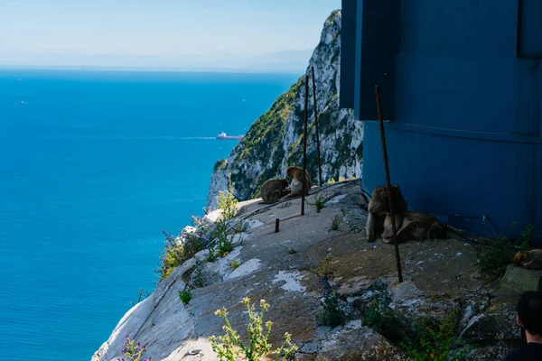 Vista al mar con la pieza de la pared de un edificio azul en la ladera de la montaña del cabo —  Fotos de Stock