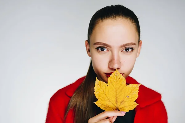 The studio is bright. girl covered her mouth with a yellow leaf of maple — Stock Photo, Image
