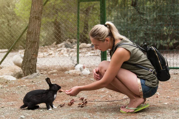 Girl Squatting Feeding Hand Black Rabbit — Stock Photo, Image