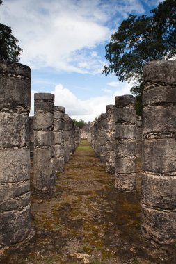 Görkemli Chichen Itza,Mexico.Chichen Itza mahvoldu Maya harabelerini bir kompleks. Antik kentin el Castillo veya Kukulcan Tapınağı, olarak bilinen bir büyük adım piramit hakim.