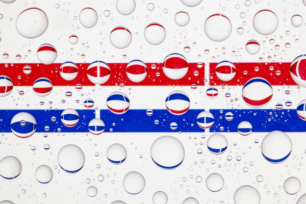 Banderas Holanda Detrás Vaso Cubierto Gotas Lluvia — Foto de Stock